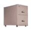 Fireking Fireproof File Cabinet on wheels