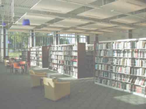 Public Libary Shelving  Adult Stacks